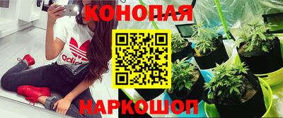 jwh Берёзовский