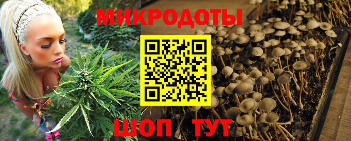 даркнет сайт  Псилоцибиновые грибы мицелий  Вход с VPN  Жигулёвск 